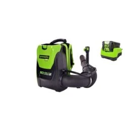 Greenworks Soldes -Greenworks Soldes 330766369 AlternateImage1 l