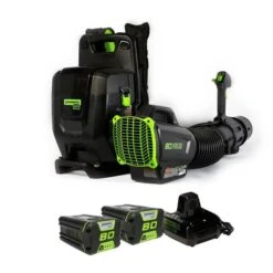 Souffleur à Feuilles Sac à Dos électrique Sans Fil Greenworks Pro De 80 V Max, 690 Pcm Avec 2 Batteries Et Chargeur Double